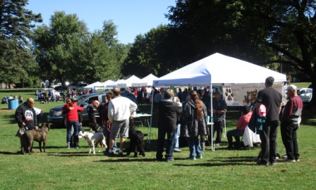 Barktoberfest 2019